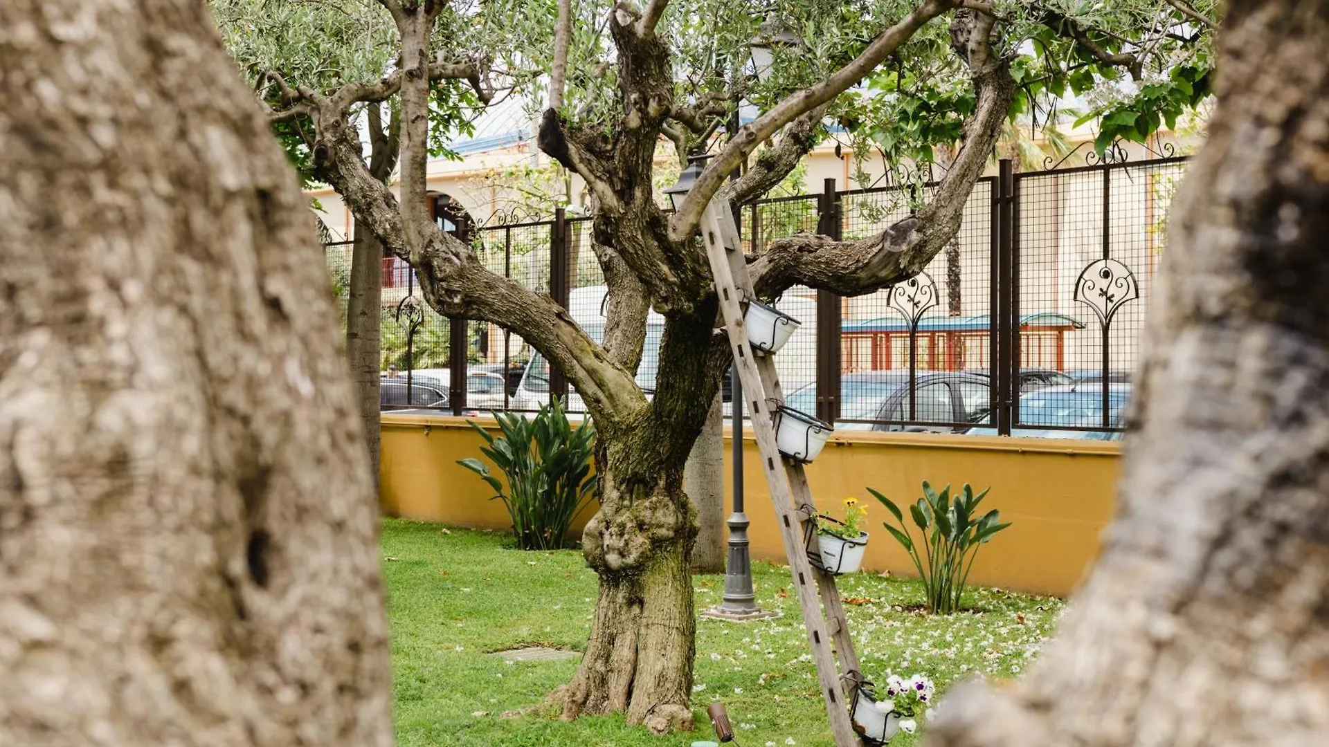 Hotel Dimora Donna Rosa San Giovanni La Punta